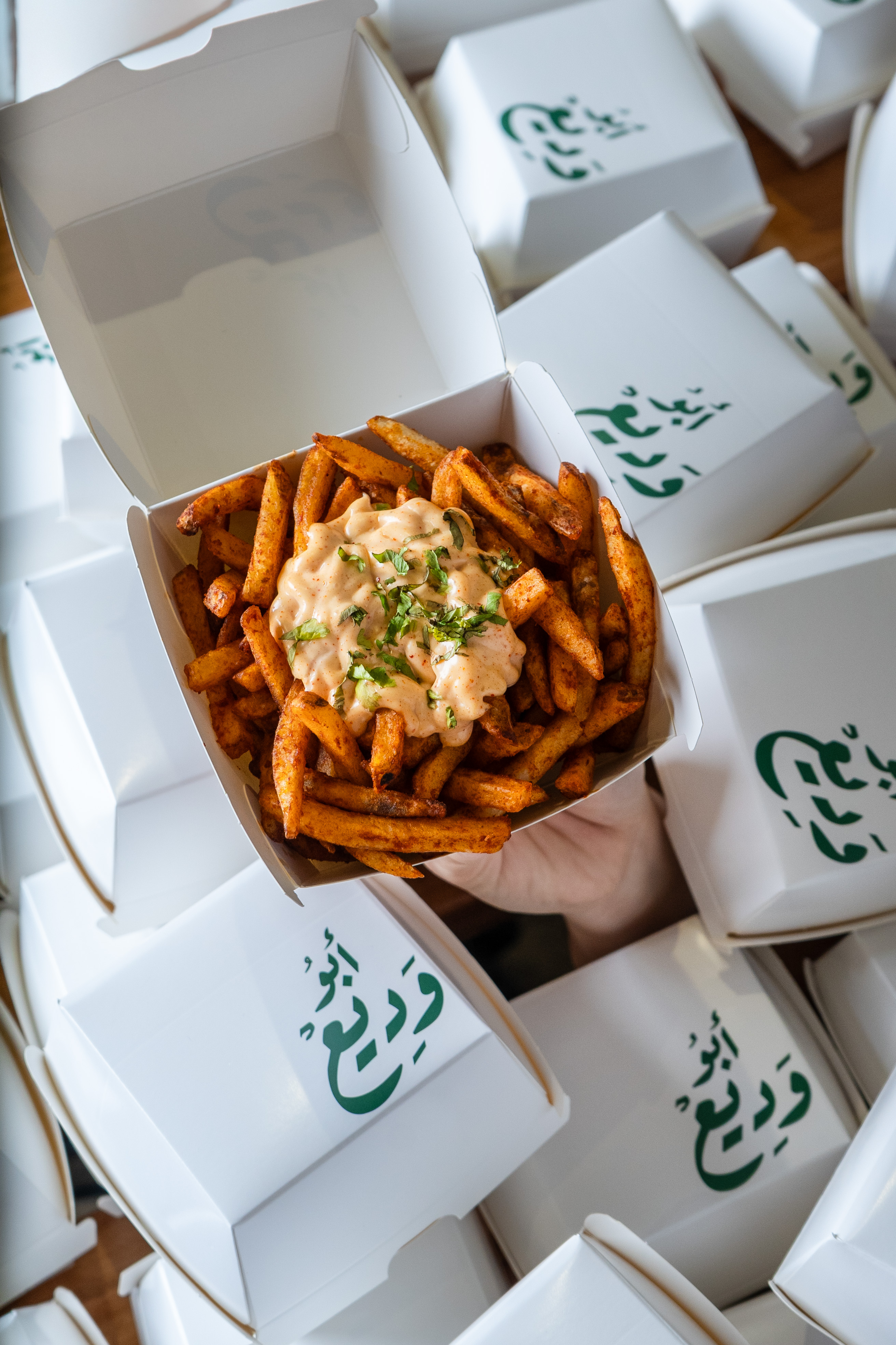 Zushi brand visual 4